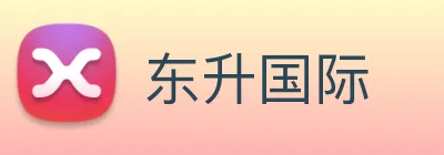 东升国际 Logo